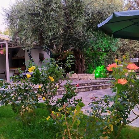 Sivota Apartments Parthenia Zewnętrze zdjęcie