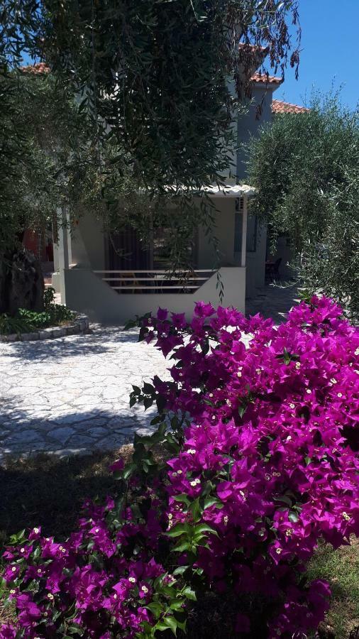 Sivota Apartments Parthenia Zewnętrze zdjęcie